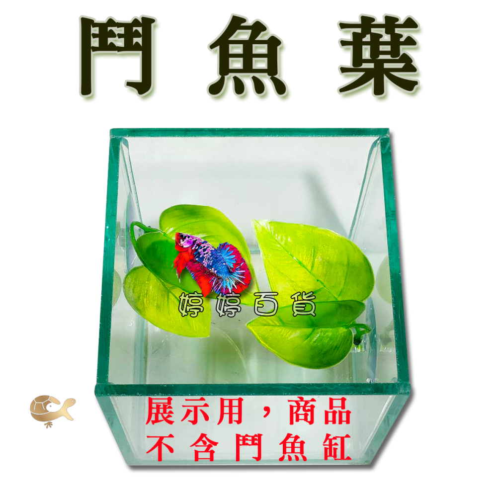 鬥魚葉 鬥魚生態葉【一棵】鬥魚築巢 休息 產卵 躲藏 假樹葉 浮葉 婷婷水族 兩棲爬寵-細節圖4