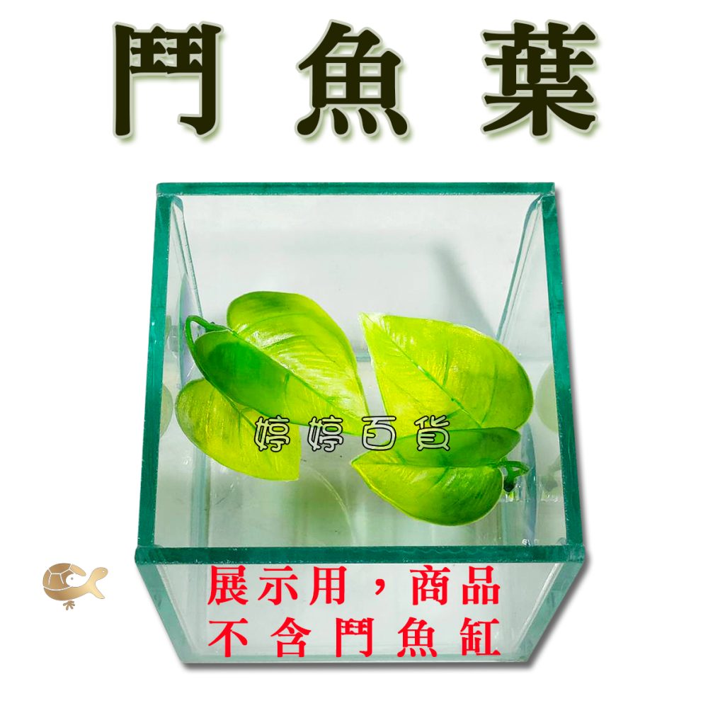 鬥魚葉 鬥魚生態葉【一棵】鬥魚築巢 休息 產卵 躲藏 假樹葉 浮葉 婷婷水族 兩棲爬寵-細節圖7