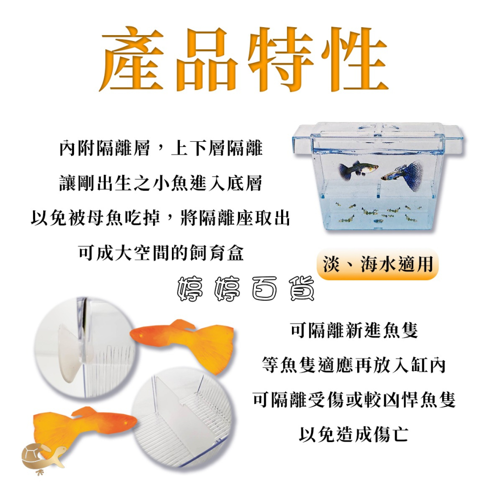 UP 繁殖盒【S、L】孔雀魚生小魚 隔離盒 隔離箱 飼育盒 鬥魚 小型魚 婷婷水族 兩棲爬寵-細節圖2