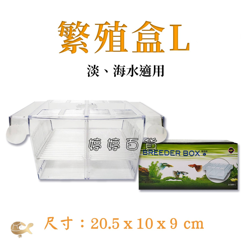 UP 繁殖盒【S、L】孔雀魚生小魚 隔離盒 隔離箱 飼育盒 鬥魚 小型魚 婷婷水族 兩棲爬寵-細節圖3