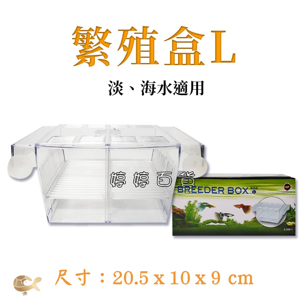 UP 繁殖盒【S、L】孔雀魚生小魚 隔離盒 隔離箱 飼育盒 鬥魚 小型魚 婷婷水族 兩棲爬寵-規格圖4