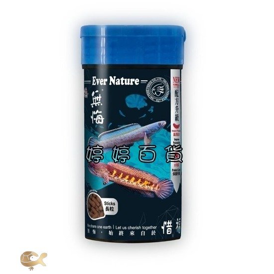 海豐 無悔x惜福 雷龍／肉食性 增色飼料【55g 長粒 上浮性】恐龍魚 肉食性觀賞魚 婷婷水族 兩棲爬寵-細節圖6