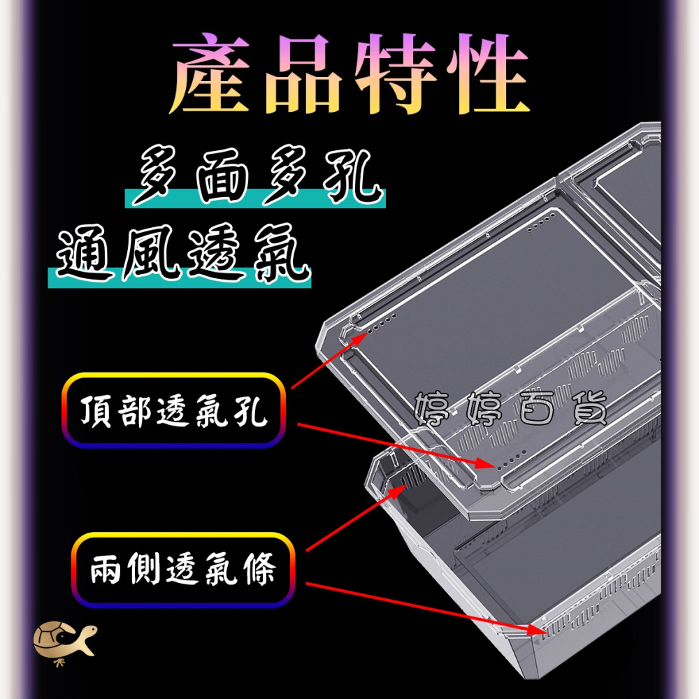 高透爬蟲飼養盒+爬台（H10-小）飼養盒 可堆疊 多孔透氣 小型寵物 守宮 角蛙 蜘蛛 蛇類 龜類 鼠類 婷婷水族 兩棲-細節圖3