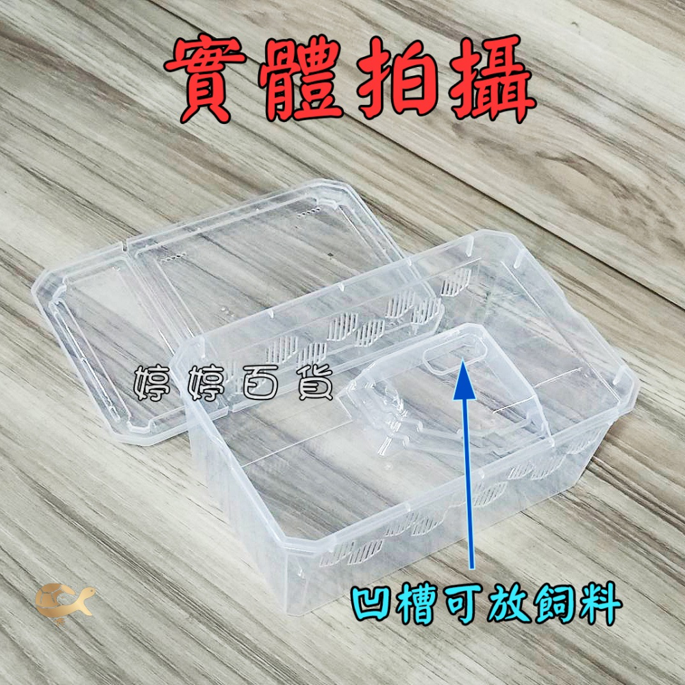 高透爬蟲飼養盒+爬台（H10-小）飼養盒 可堆疊 多孔透氣 小型寵物 守宮 角蛙 蜘蛛 蛇類 龜類 鼠類 婷婷水族 兩棲-細節圖6