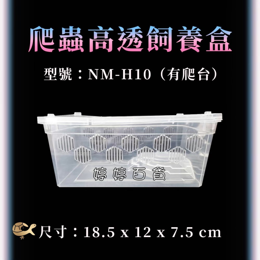 高透爬蟲飼養盒+爬台（H10-小）飼養盒 可堆疊 多孔透氣 小型寵物 守宮 角蛙 蜘蛛 蛇類 龜類 鼠類 婷婷水族 兩棲-細節圖7