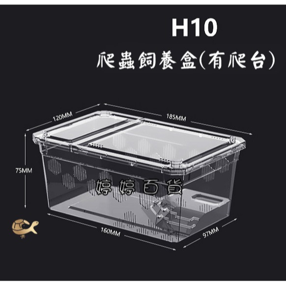 高透爬蟲飼養盒+爬台（H10-小）飼養盒 可堆疊 多孔透氣 小型寵物 守宮 角蛙 蜘蛛 蛇類 龜類 鼠類 婷婷水族 兩棲-細節圖8