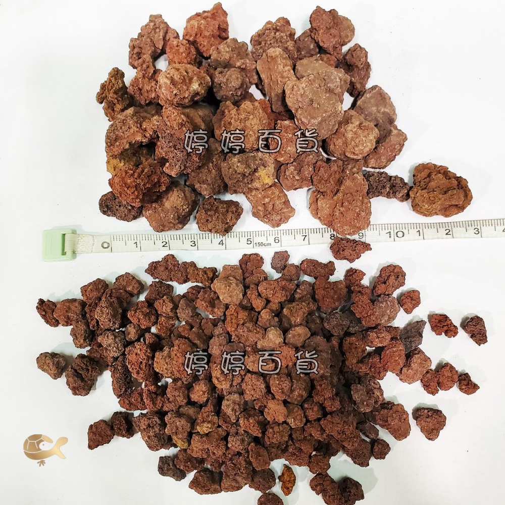 紅 火山岩 天然濾材【1Kg／包】高孔隙 過濾 穩定水質 培養 硝化菌 吸附 水族 婷婷水族 兩棲爬寵-細節圖4