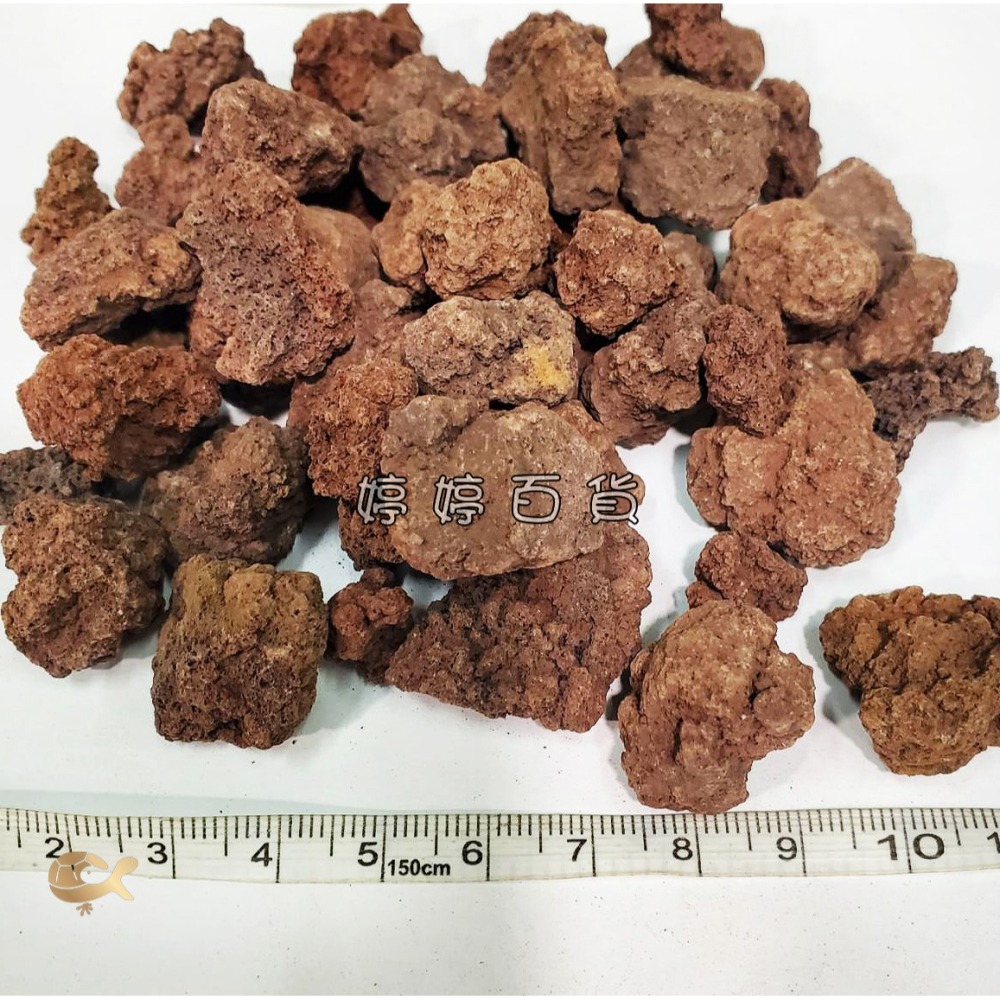 紅 火山岩 天然濾材【1Kg／包】高孔隙 過濾 穩定水質 培養 硝化菌 吸附 水族 婷婷水族 兩棲爬寵-細節圖5