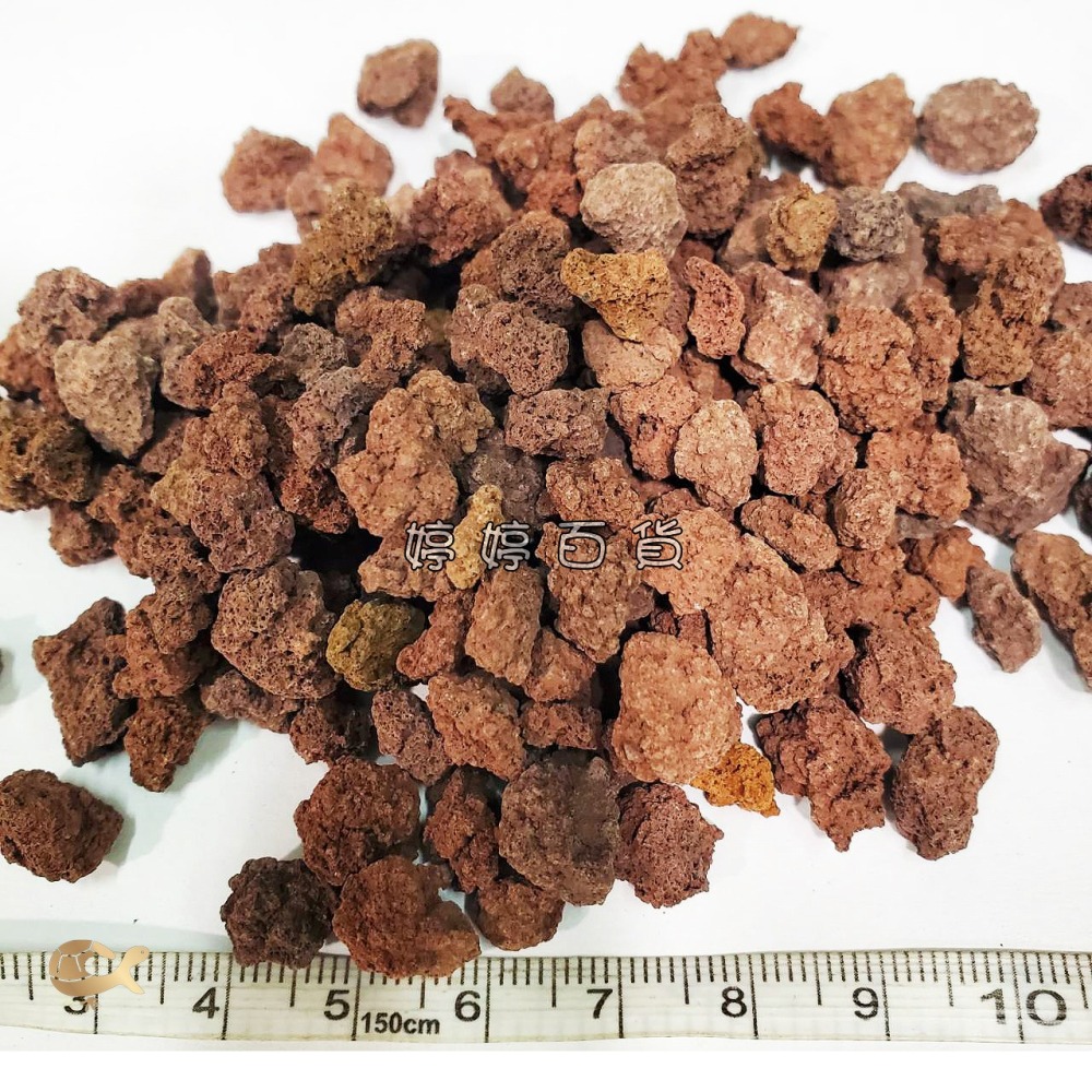 紅 火山岩 天然濾材【1Kg／包】高孔隙 過濾 穩定水質 培養 硝化菌 吸附 水族 婷婷水族 兩棲爬寵-細節圖6
