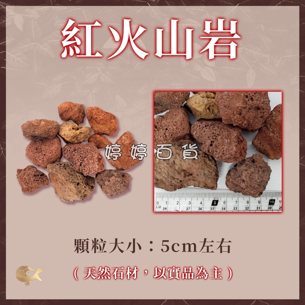 大顆粒一公斤