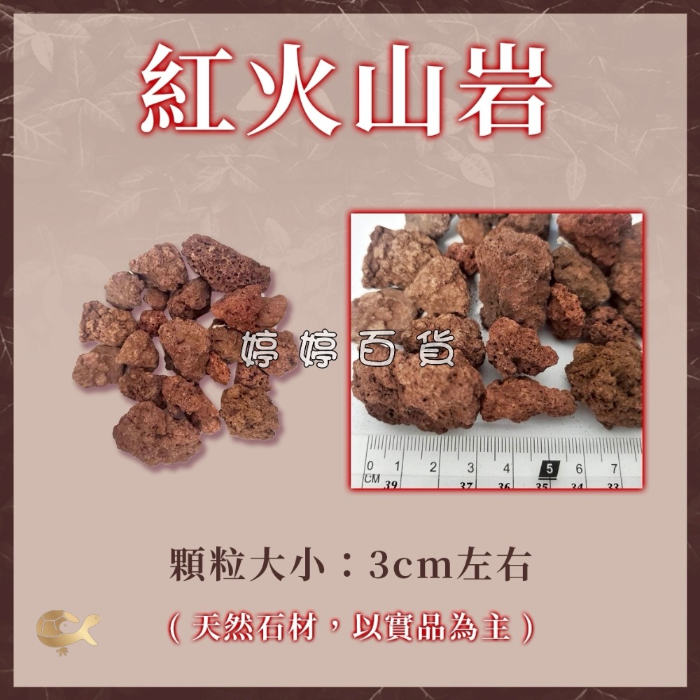 中顆粒一公斤