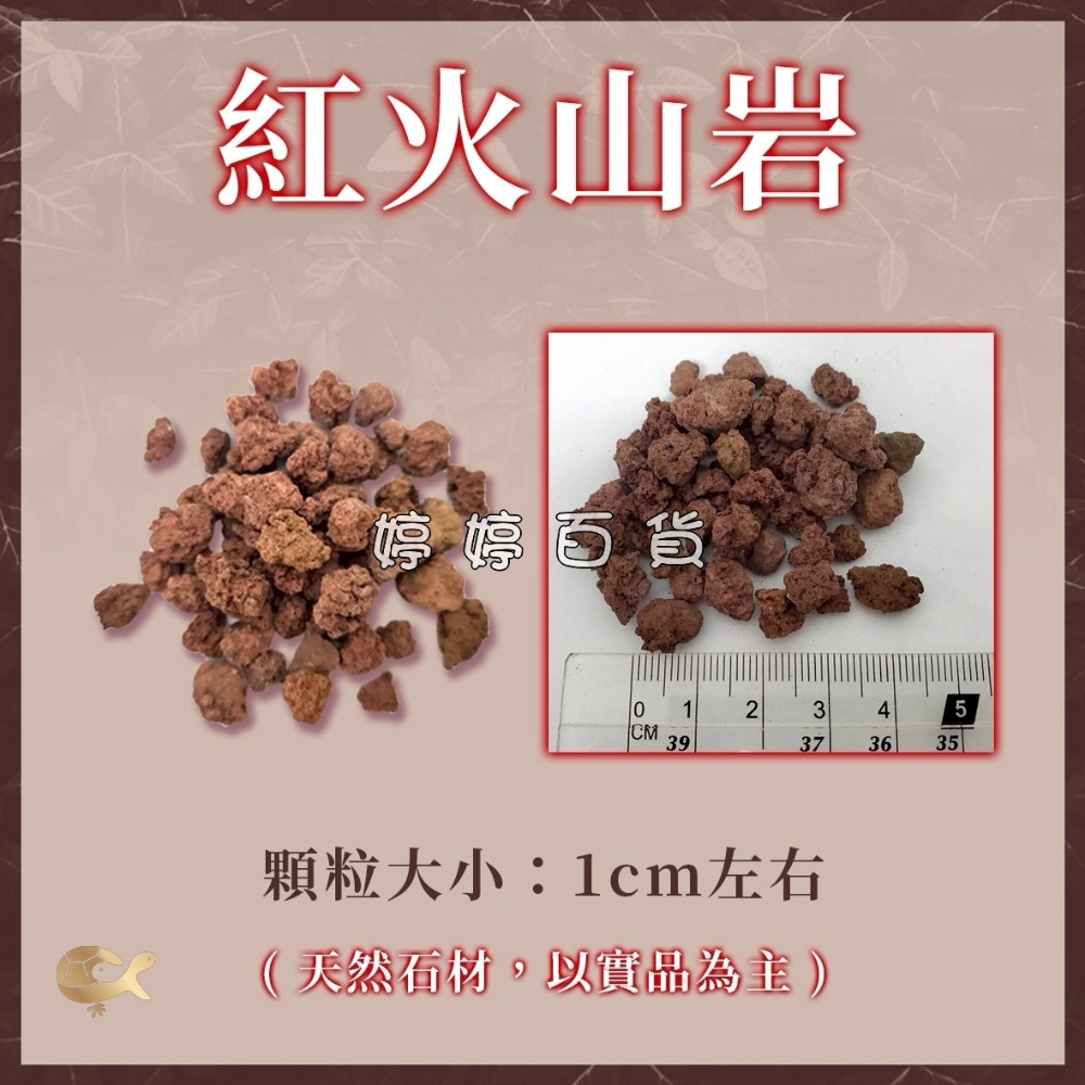 紅 火山岩 天然濾材【1Kg／包】高孔隙 過濾 穩定水質 培養 硝化菌 吸附 水族 婷婷水族 兩棲爬寵-規格圖6