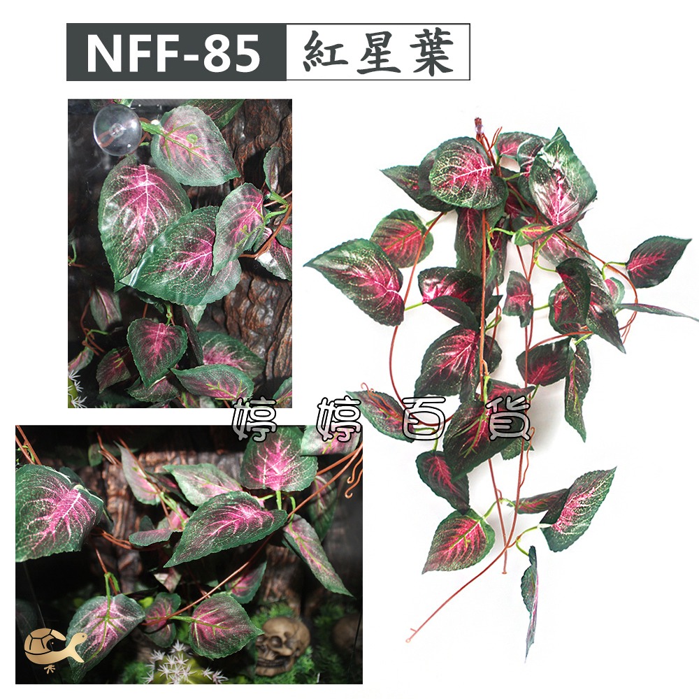 諾摩 仿真掛葉 植物造景 仿真樹葉 仿真花草 水陸生態缸 藤蔓 藤葉 模擬植物 飼養箱造景 婷婷水族 兩棲爬寵-細節圖5