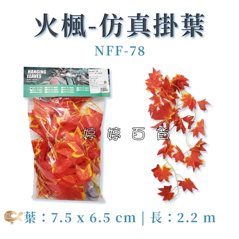 NFF-78 火楓