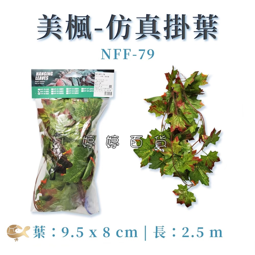 NFF-79 美楓