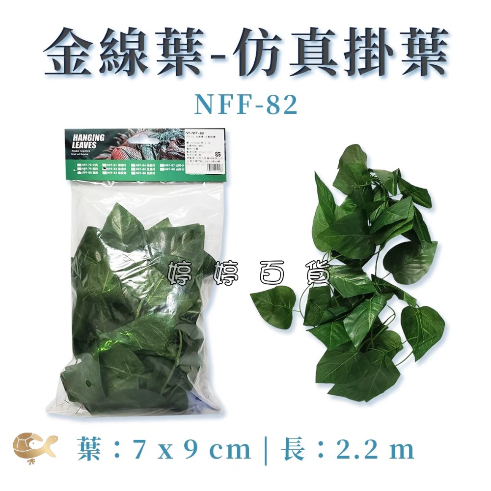 NFF-82 金線葉