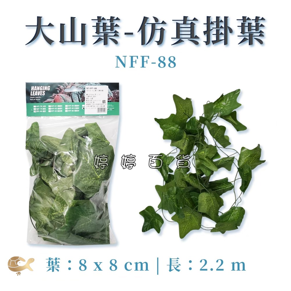 NFF-88 大山葉