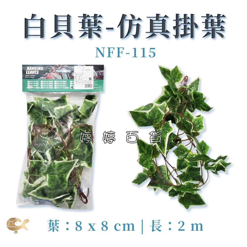 NFF-115 白貝葉