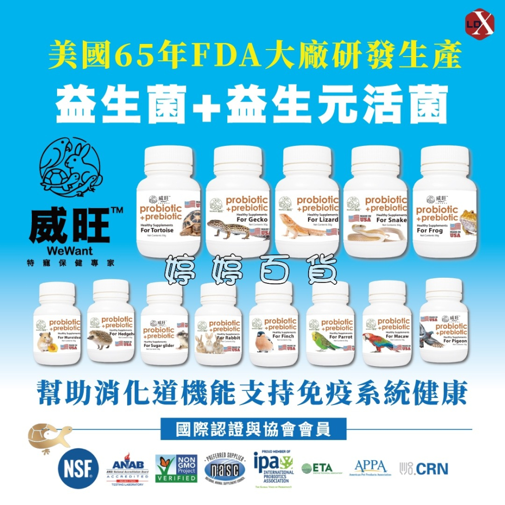 威旺 爬蟲小動物專用益生菌+益生元活菌 雙益菌 幫助促進消化 蛇類 守宮 蛙類 蜥蜴 龜類 蜜袋鼯 鼠類 婷婷水族 兩爬-細節圖2