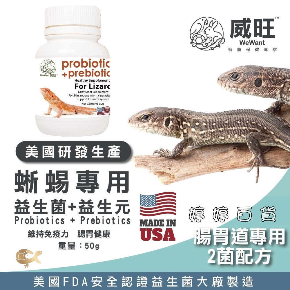 威旺 爬蟲小動物專用益生菌+益生元活菌 雙益菌 幫助促進消化 蛇類 守宮 蛙類 蜥蜴 龜類 蜜袋鼯 鼠類 婷婷水族 兩爬-細節圖5