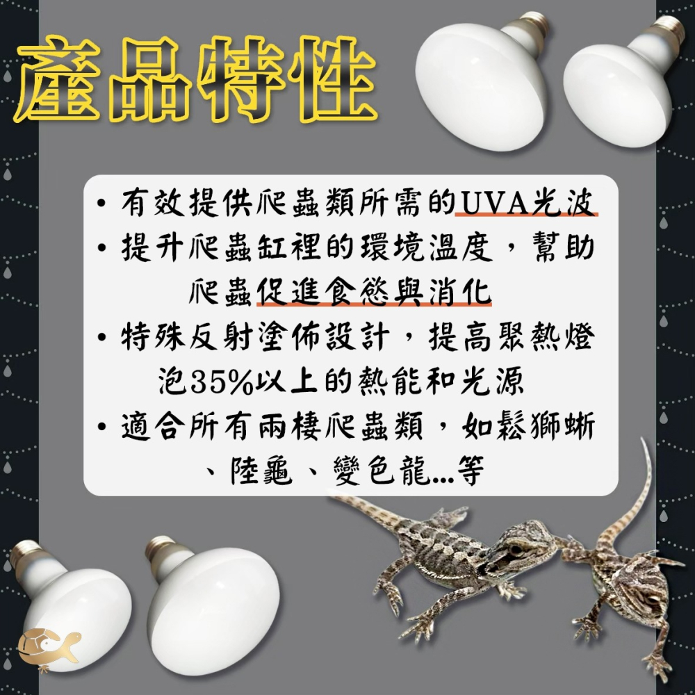 伊士達 ISTA 爬蟲聚熱燈泡 UVA取暖燈泡 日間加溫 保暖 取暖燈 陸龜 蜥蜴 兩棲爬蟲 婷婷水族 兩棲爬蟲-細節圖2