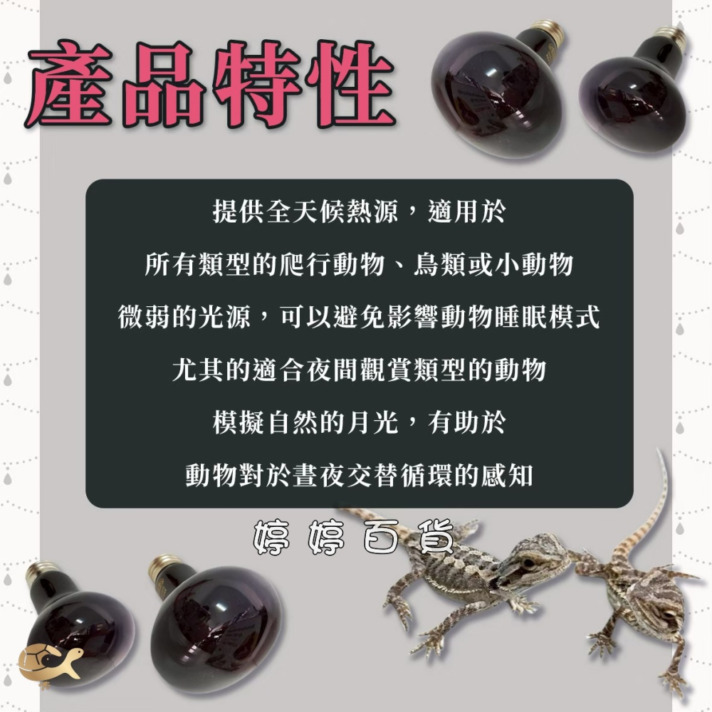 ISTA 伊士達 爬蟲月光保溫燈泡 UVA加熱燈泡 夜間燈泡 月光燈泡 取暖加溫 兩棲爬蟲 蜥蜴 婷婷水族 兩棲爬蟲-細節圖2