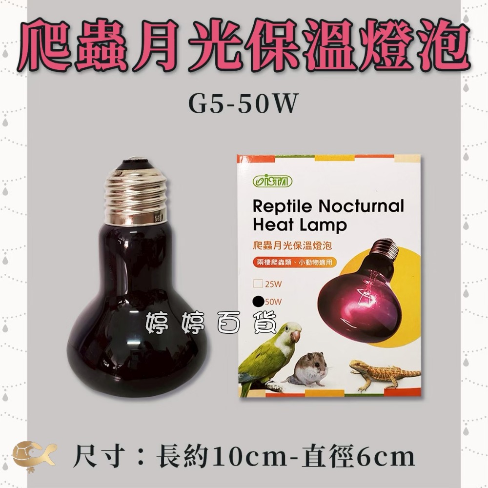 ISTA 伊士達 爬蟲月光保溫燈泡 UVA加熱燈泡 夜間燈泡 月光燈泡 取暖加溫 兩棲爬蟲 蜥蜴 婷婷水族 兩棲爬蟲-規格圖2