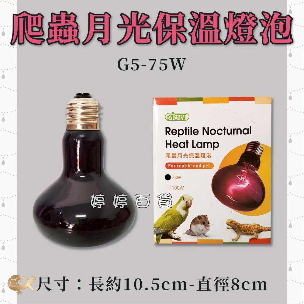 ISTA 伊士達 爬蟲月光保溫燈泡 UVA加熱燈泡 夜間燈泡 月光燈泡 取暖加溫 兩棲爬蟲 蜥蜴 婷婷水族 兩棲爬蟲-規格圖2