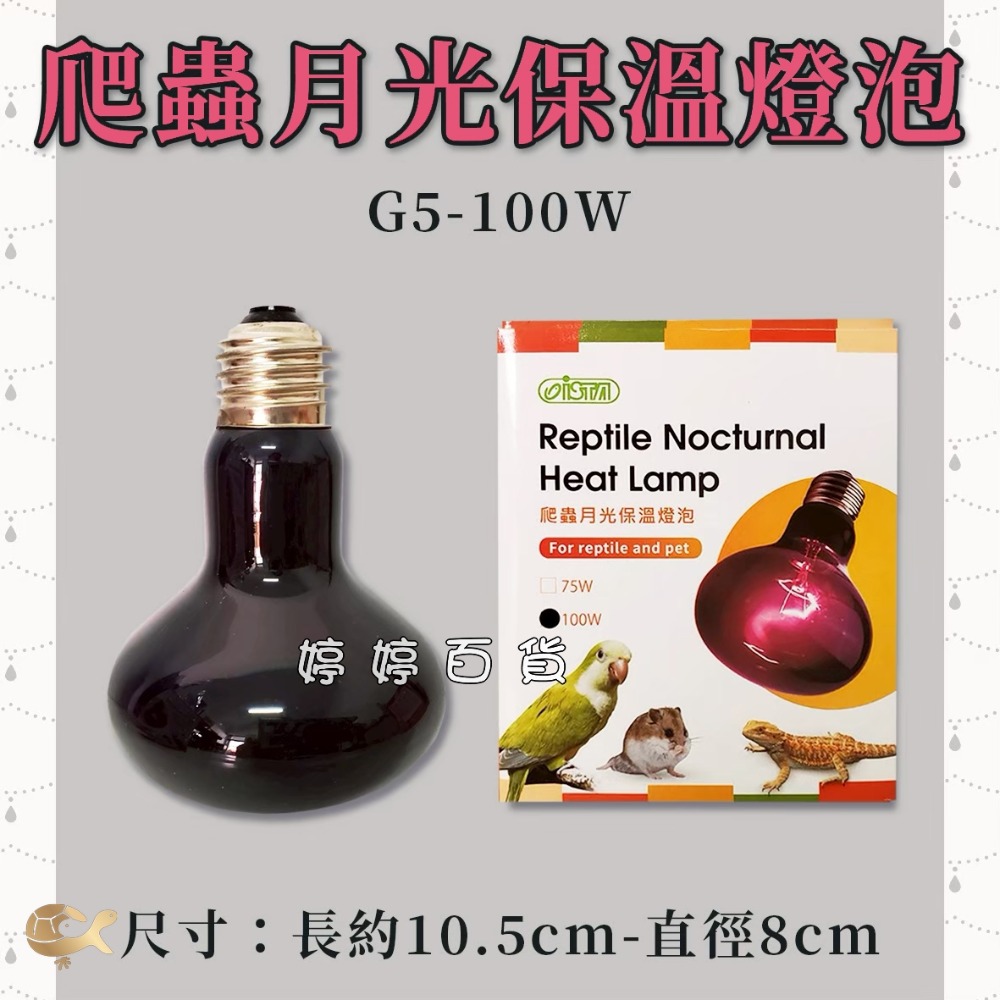 ISTA 伊士達 爬蟲月光保溫燈泡 UVA加熱燈泡 夜間燈泡 月光燈泡 取暖加溫 兩棲爬蟲 蜥蜴 婷婷水族 兩棲爬蟲-規格圖2