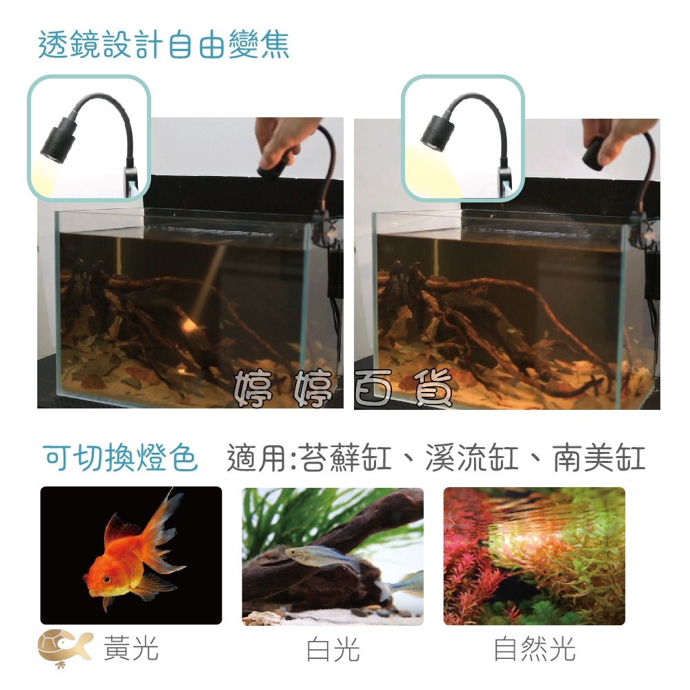 ISTA 三段式萬向投射燈 聚光燈 透鏡設計自由變焦 節能省電 婷婷水族 兩棲爬寵-細節圖5
