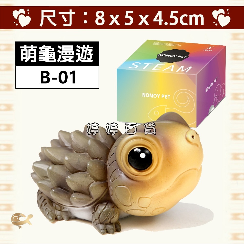 B-01 萌龜漫遊