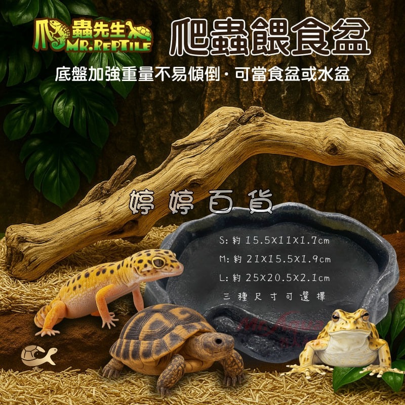 爬蟲先生 爬蟲餵食盆 寵物水盆 寵物食盆 低沿設計 陸龜 蜥蜴 角蛙 守宮 婷婷水族 兩棲爬蟲-細節圖3