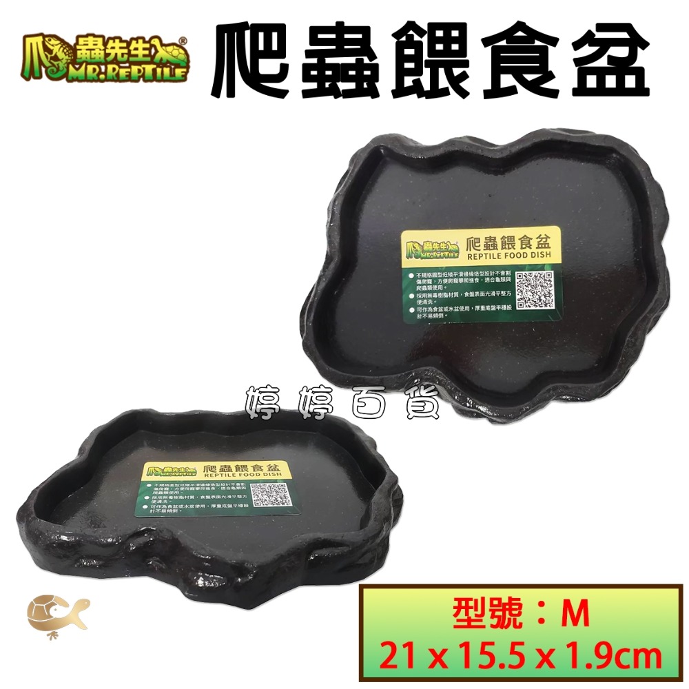 爬蟲先生 爬蟲餵食盆 寵物水盆 寵物食盆 低沿設計 陸龜 蜥蜴 角蛙 守宮 婷婷水族 兩棲爬蟲-規格圖3