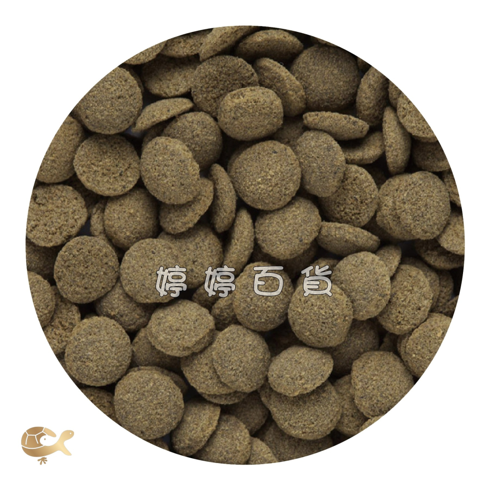 日本 高夠力 Hikari 鼠科魚飼料【15g、80g 沉水性】鼠魚飼料 底棲魚 鰍科魚 三間鼠 婷婷水族 兩棲爬寵-細節圖2