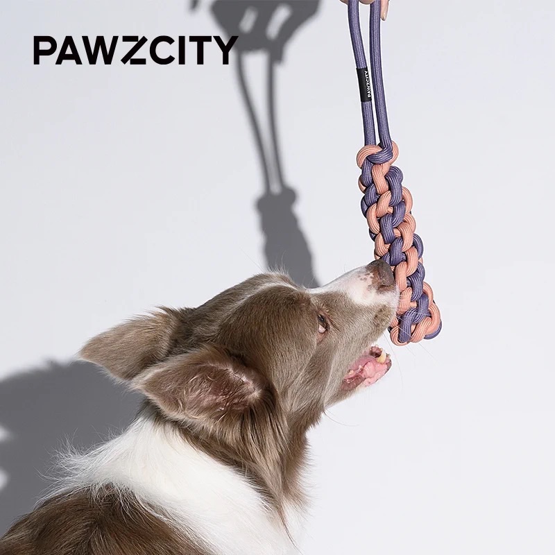 PAWZCITY環保染色繩結玩具🪢-細節圖5