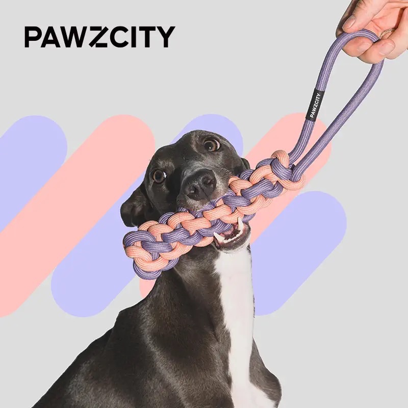 PAWZCITY環保染色繩結玩具🪢-細節圖6