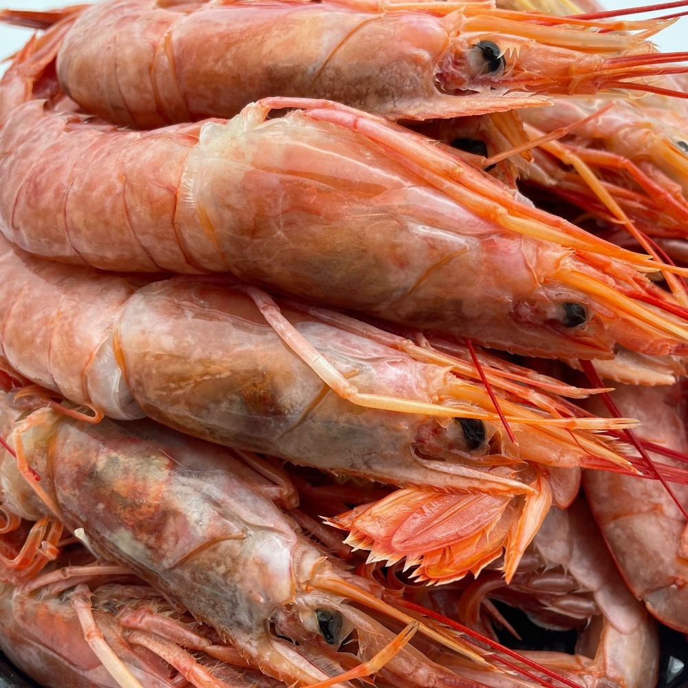 【秋田市集】天使紅蝦L1 32-40尾/盒 2KG 蝦子│烤肉│中秋│美食團購│食品批發-細節圖3