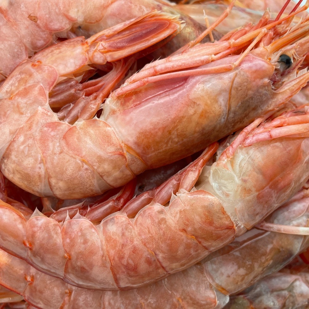 【秋田市集】天使紅蝦L1 32-40尾/盒 2KG 蝦子│烤肉│中秋│美食團購│食品批發-細節圖4