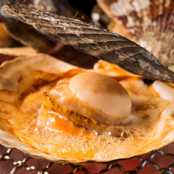 【秋田市集】半殼扇貝7/8  14-17入/包 1KG 台中市滿額$600免運│烤肉│中秋│美食團購│食品批發-細節圖3