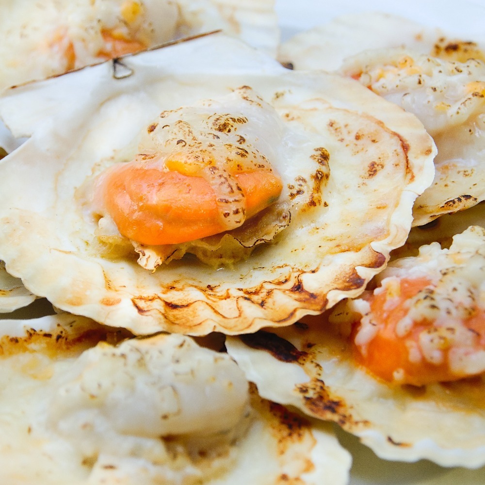 【秋田市集】半殼扇貝7/8  14-17入/包 1KG 台中市滿額$600免運│烤肉│中秋│美食團購│食品批發-細節圖4