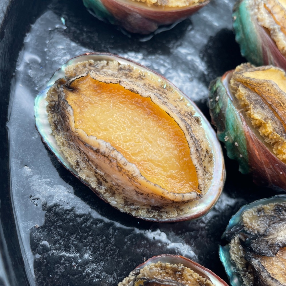 【秋田市集】熟凍鮑魚18P 18顆/包 1KG 台中市滿額$600免運│烤肉│中秋│美食團購│食品批發-細節圖2