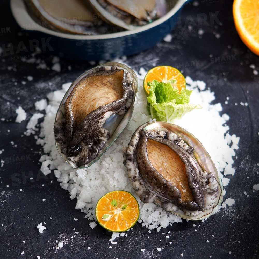 【秋田市集】熟凍鮑魚18P 18顆/包 1KG 台中市滿額$600免運│烤肉│中秋│美食團購│食品批發-細節圖4