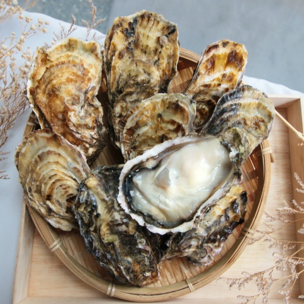 【秋田市集】日本全殼生蠔2L 生食級 牡蠣 台中市滿額$600免運│中秋│燒烤│美食團購│食品批發-細節圖2