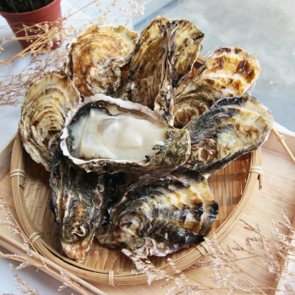 【秋田市集】日本全殼生蠔2L 生食級 牡蠣 台中市滿額$600免運│中秋│燒烤│美食團購│食品批發-細節圖4