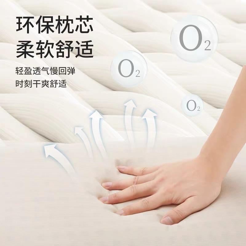 【快速出貨】🌵仙人掌露營🌵 Naturehike挪客記憶棉舒適方枕便攜式户外野營旅行枕露營午睡枕頭-細節圖3