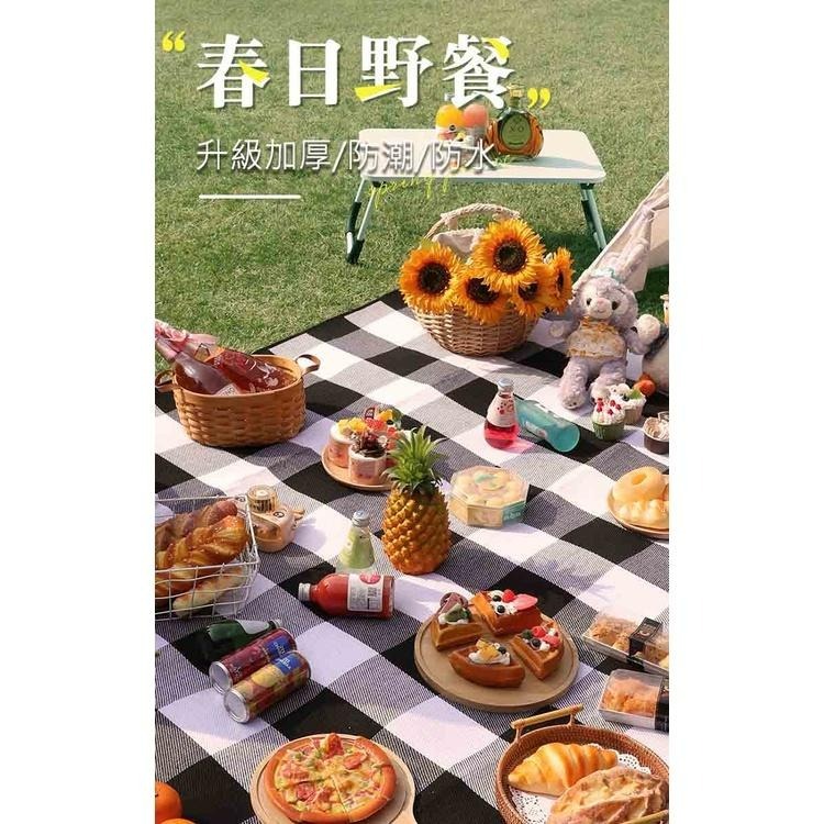 【公司貨】野餐墊 200X200 贈收納袋 露營地墊 沙灘墊 防潮墊 戶外帳篷墊 爬行墊 遊戲墊-細節圖2