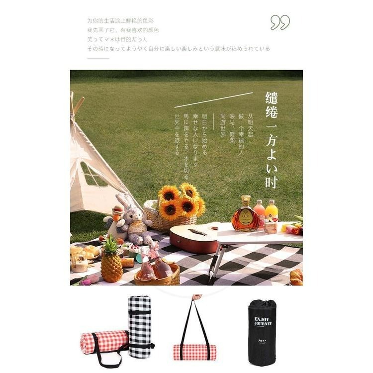 【公司貨】野餐墊 200X200 贈收納袋 露營地墊 沙灘墊 防潮墊 戶外帳篷墊 爬行墊 遊戲墊-細節圖5