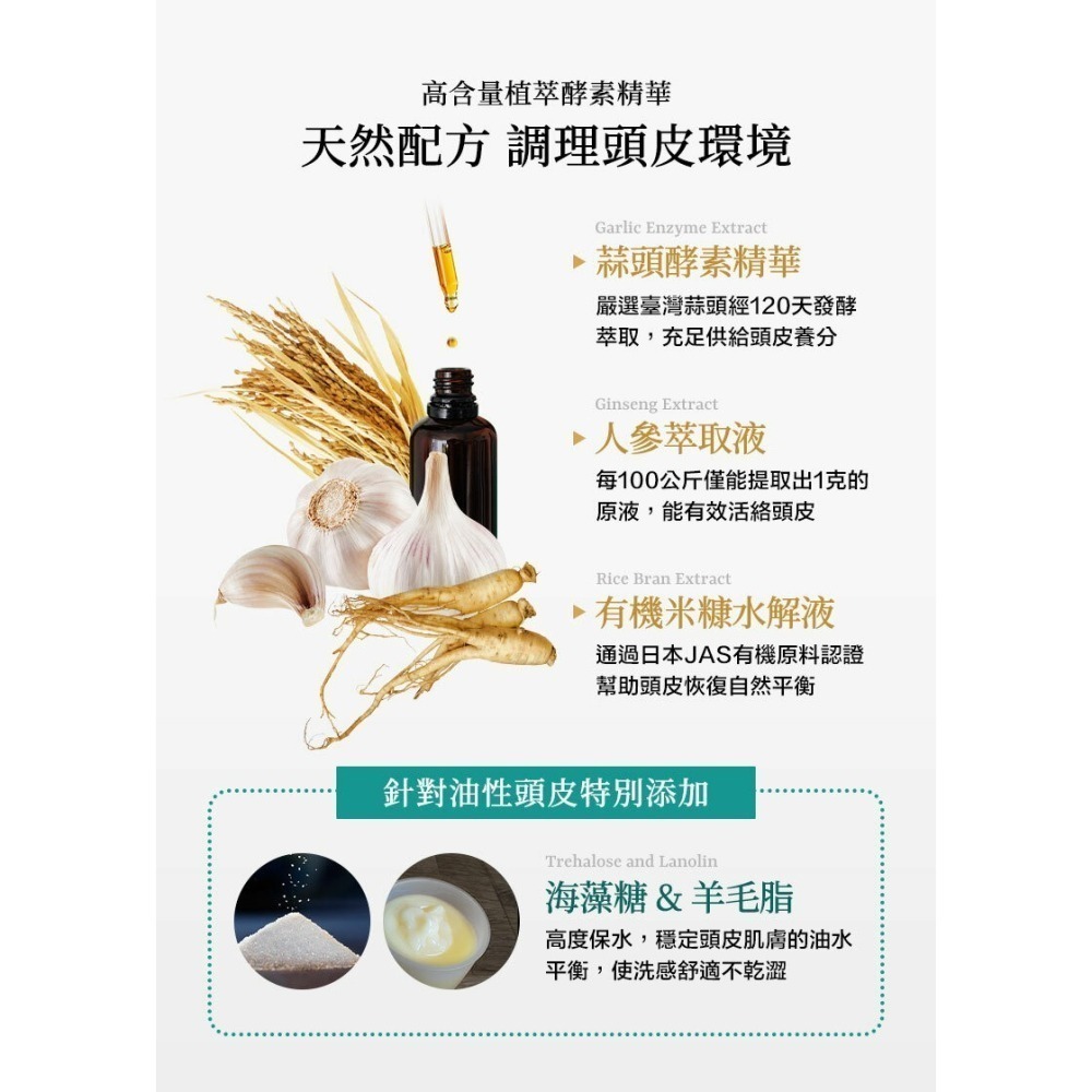 【免運費x發票】CONTIN 康定 極萃豐盈洗髮乳 EV 康定 洗髮精 蒜頭酵素植萃洗髮乳 300ML-細節圖5