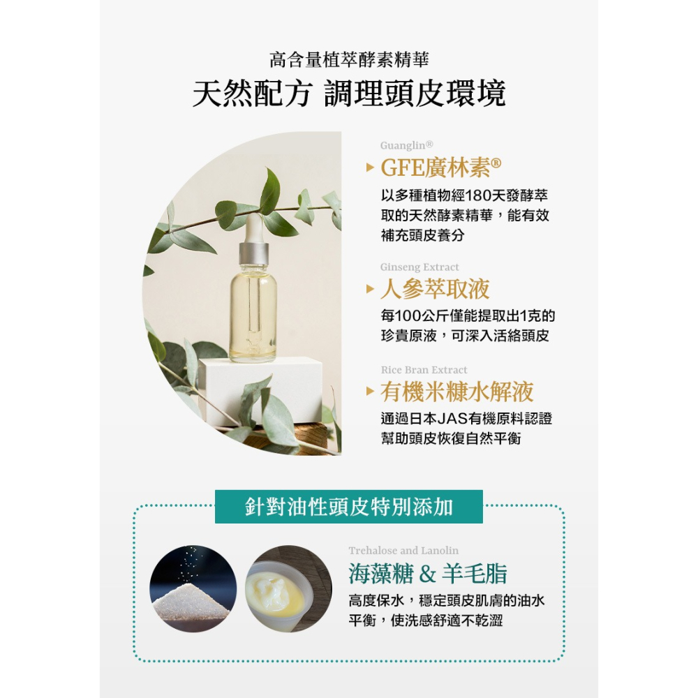 【免運費】CONTIN 康定 極萃豐盈洗髮乳 EV 康定 洗髮精 蒜頭酵素植萃洗髮乳 300ML-細節圖5