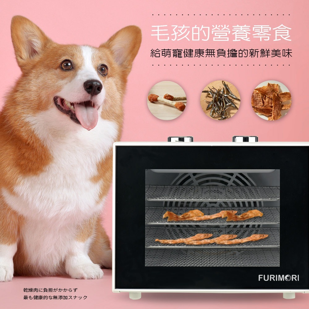 【免運費x發票】富力森 FURIMORI 四層溫控 乾果機 FU-DF455 烘乾機 食物乾燥機 乾果機 乾燥機-細節圖7